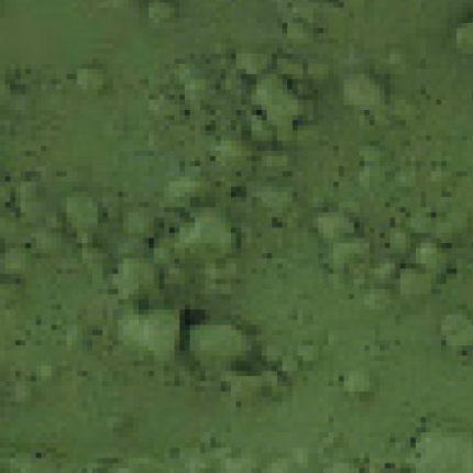 Cadence Moss Effect Paint – Dark Green 150ml