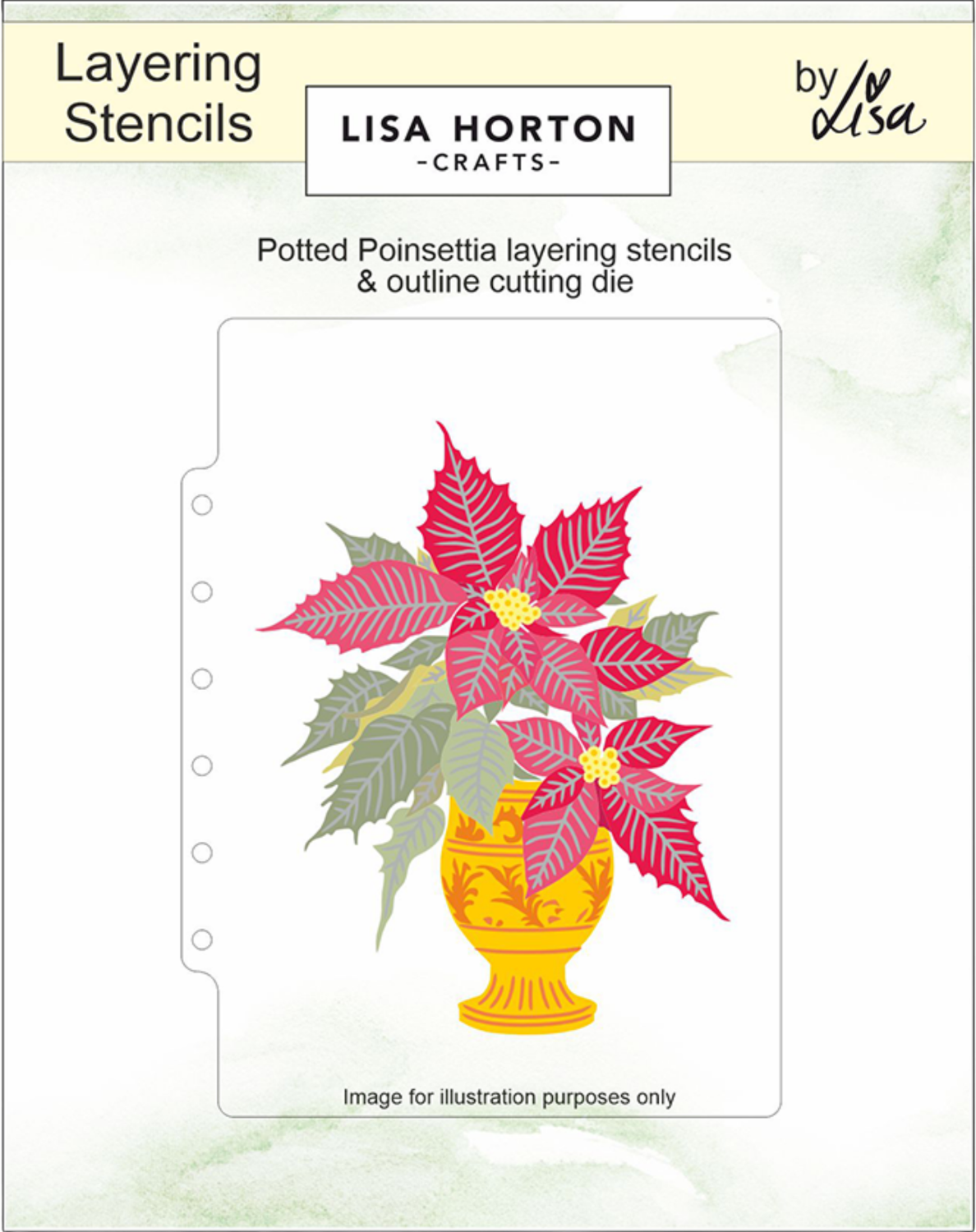 Potted Poinsettia 5