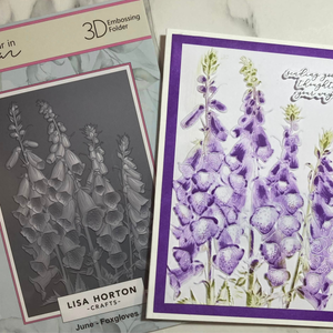 Lisa Horton Crafts 'A Year In Bloom' 2025 - Set of 12 5” x 7” 3D Embossing Folders